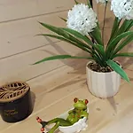 Vakantiehuis Skitnica *