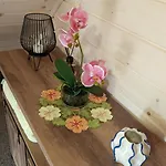 Skitnica Nyaraló *